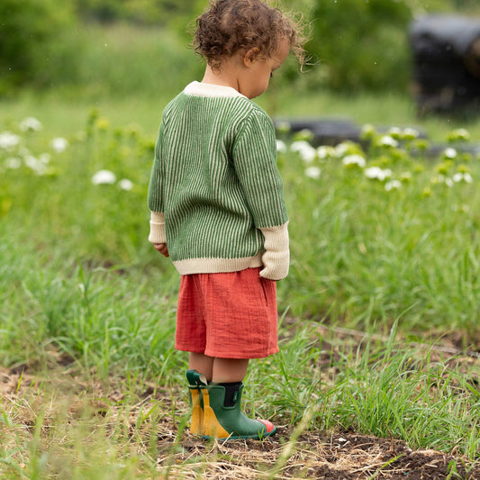 Burnt Ochre By The Sea Shorts: Red