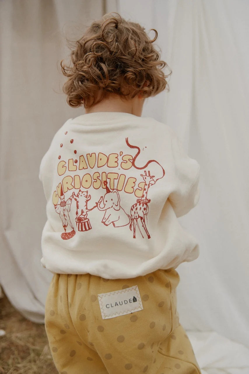 Carner Claude's Curiosities Sweater