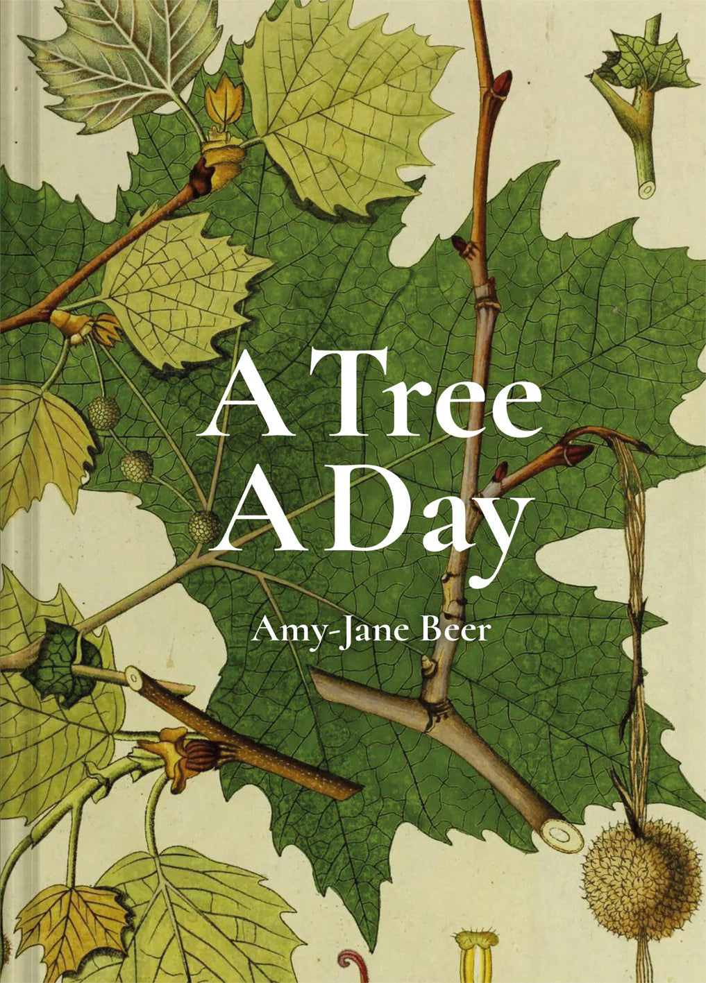 A Tree A Day | Amy-Jane Beer