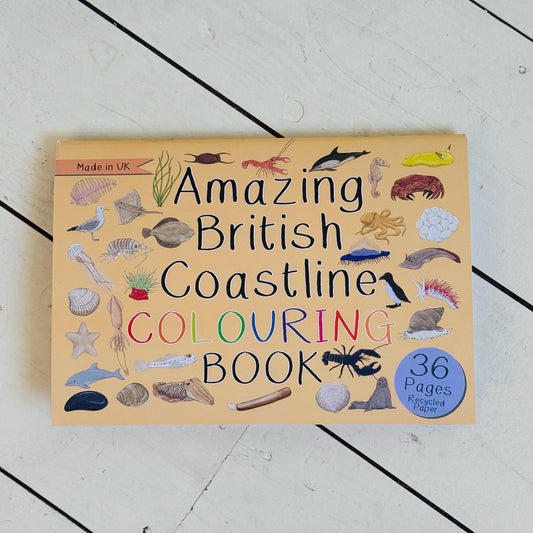 Amazing British Coastline Colouring Book