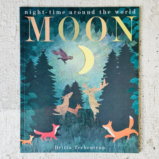 Moon | Britta Teckentrup, Patricia Hegarty