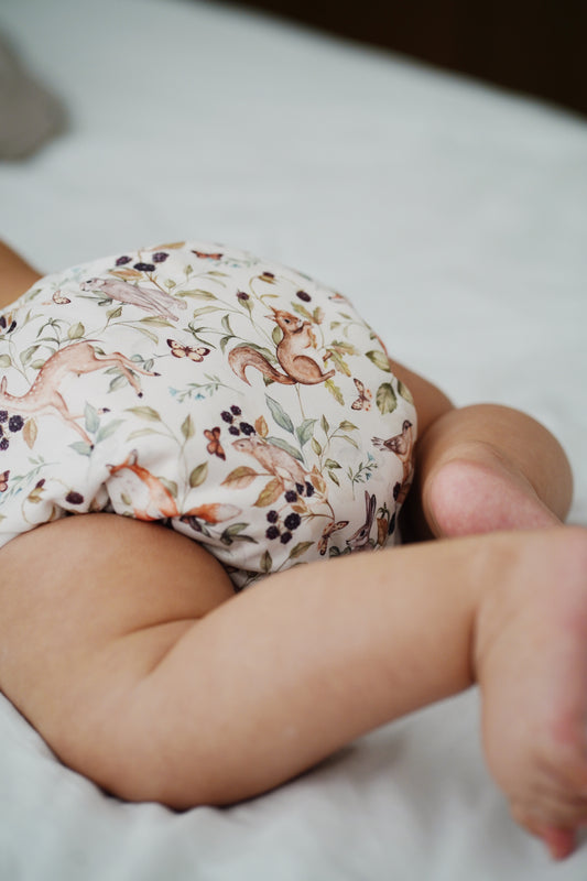 The Pokkit Cloth Nappy | Bramble