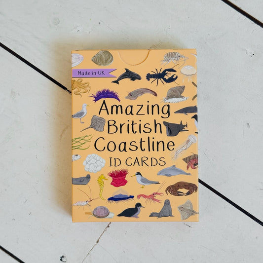 Amazing British Coastline ID Cards