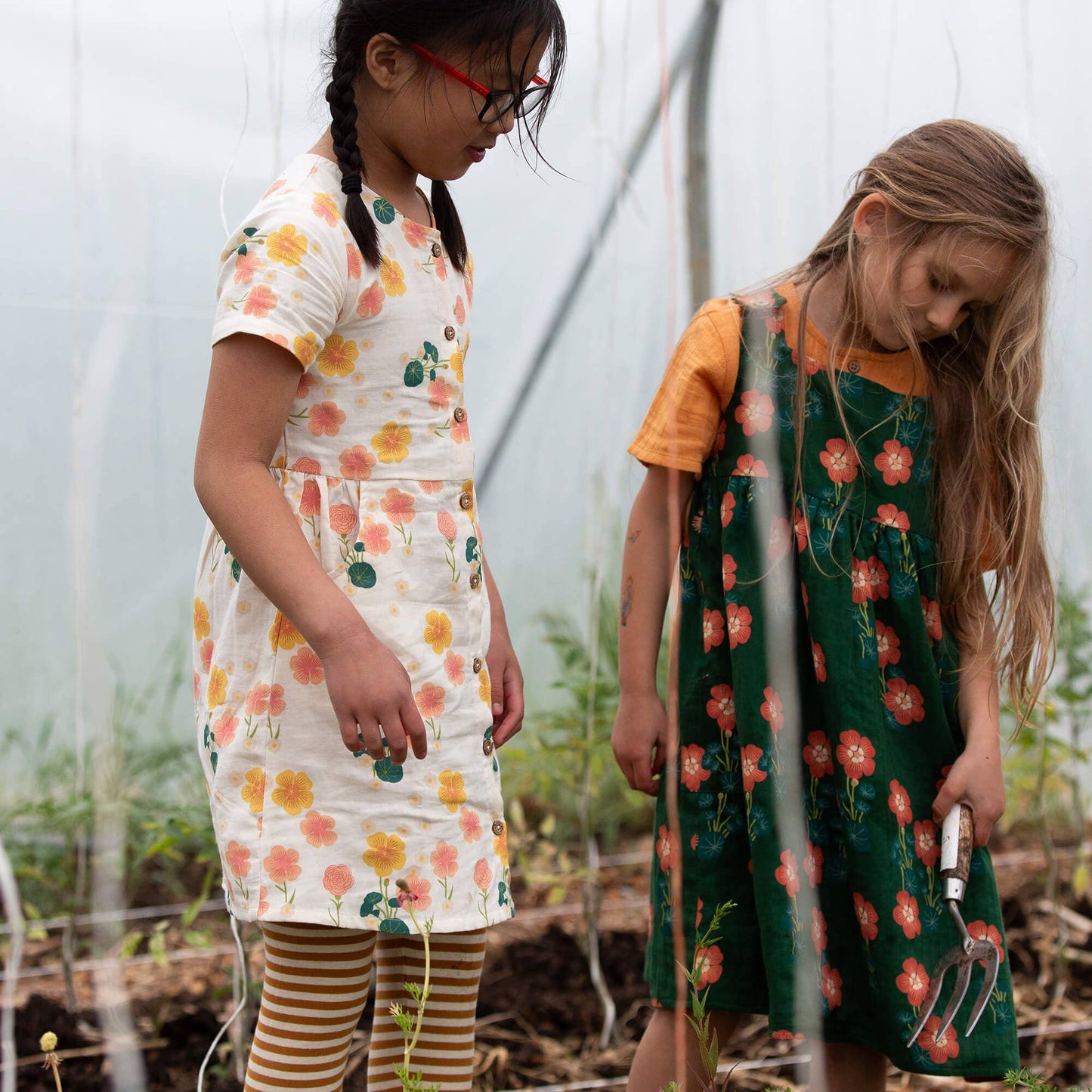 Button Through Short Sleeve Dress | Flora