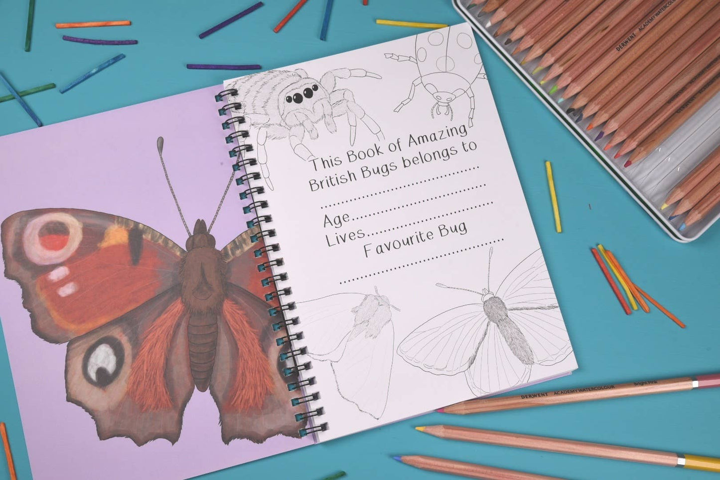 Amazing British Bugs Fact and Activity Book 