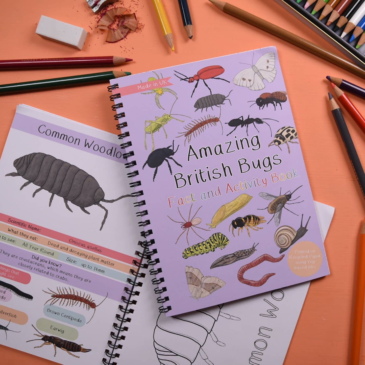 Amazing British Bugs Fact and Activity Book 