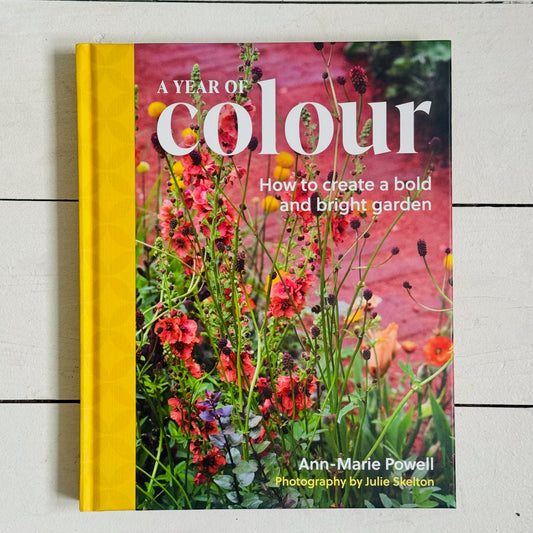 A Year of Colour