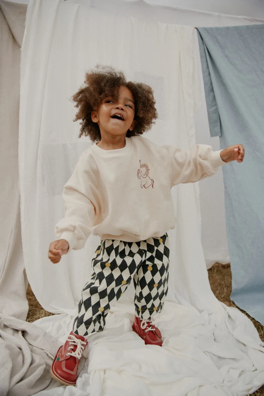 Carner Claude's Curiosities Sweater