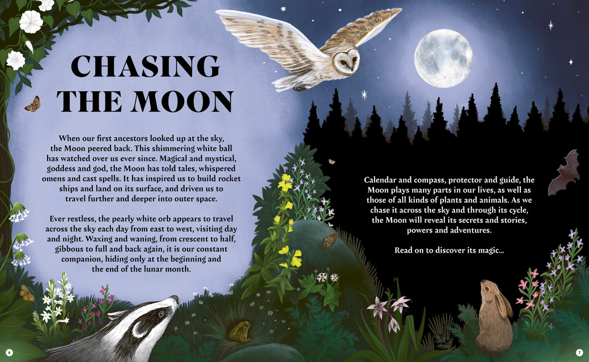 Chasing the Moon | Susan Hayes, Anna Stead