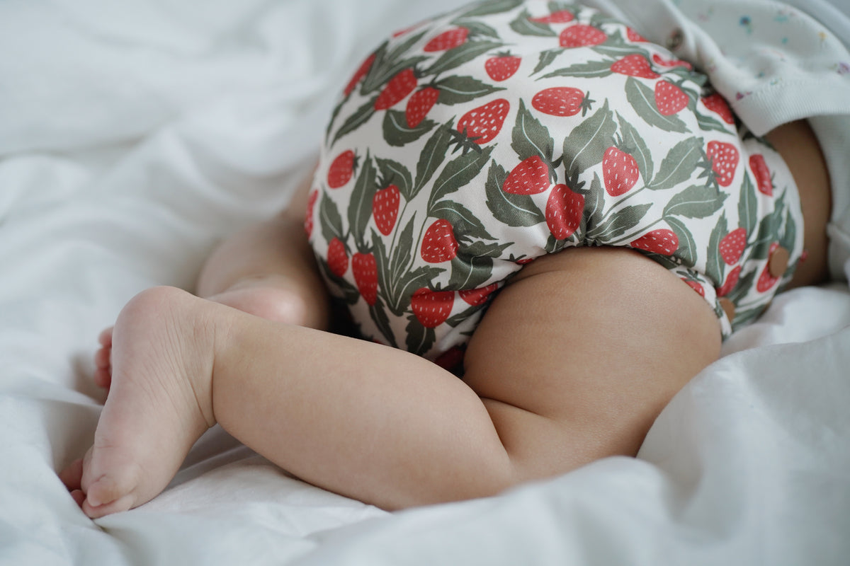 The Pokkit Cloth Nappy | Strawberry Thief