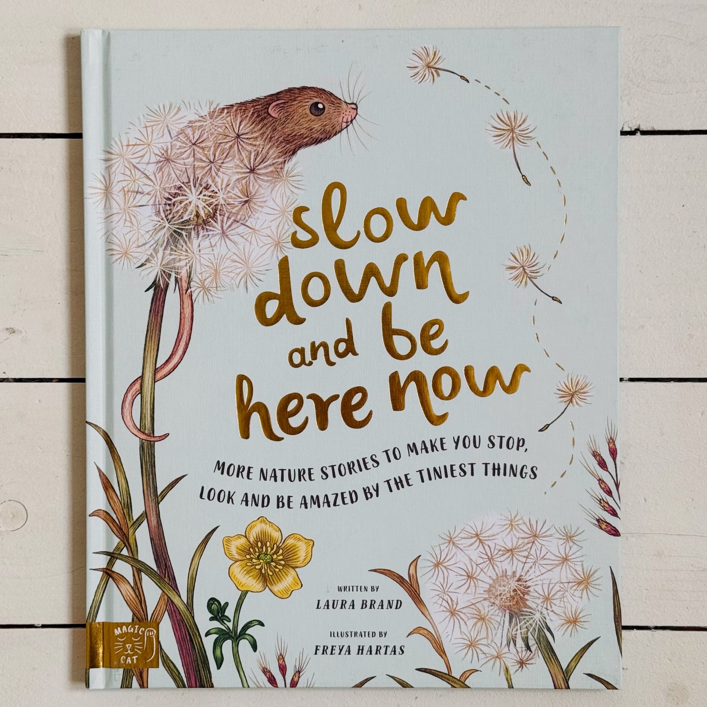 Slow Down And Be Here Now