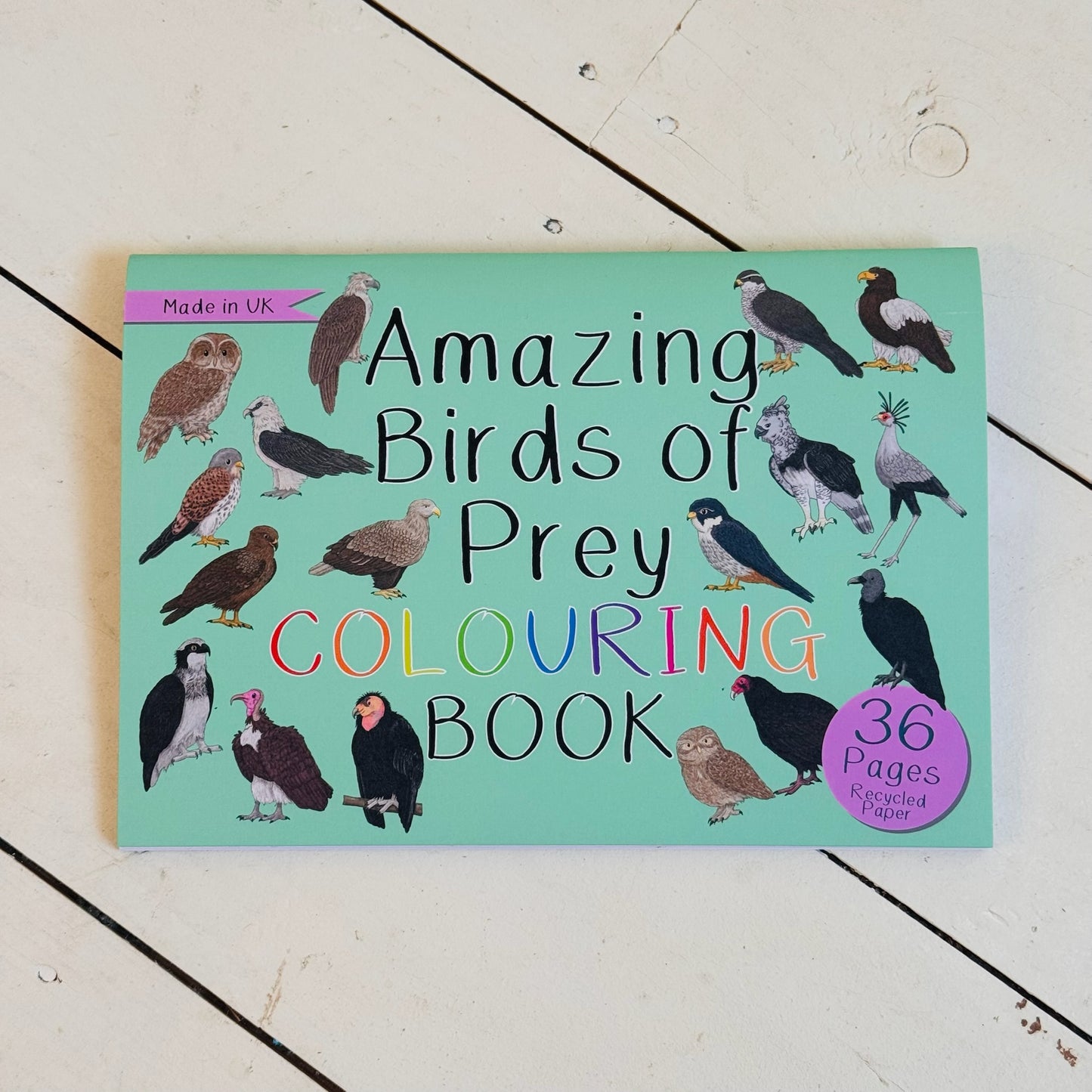 Amazing Birds of Prey Colouring Book