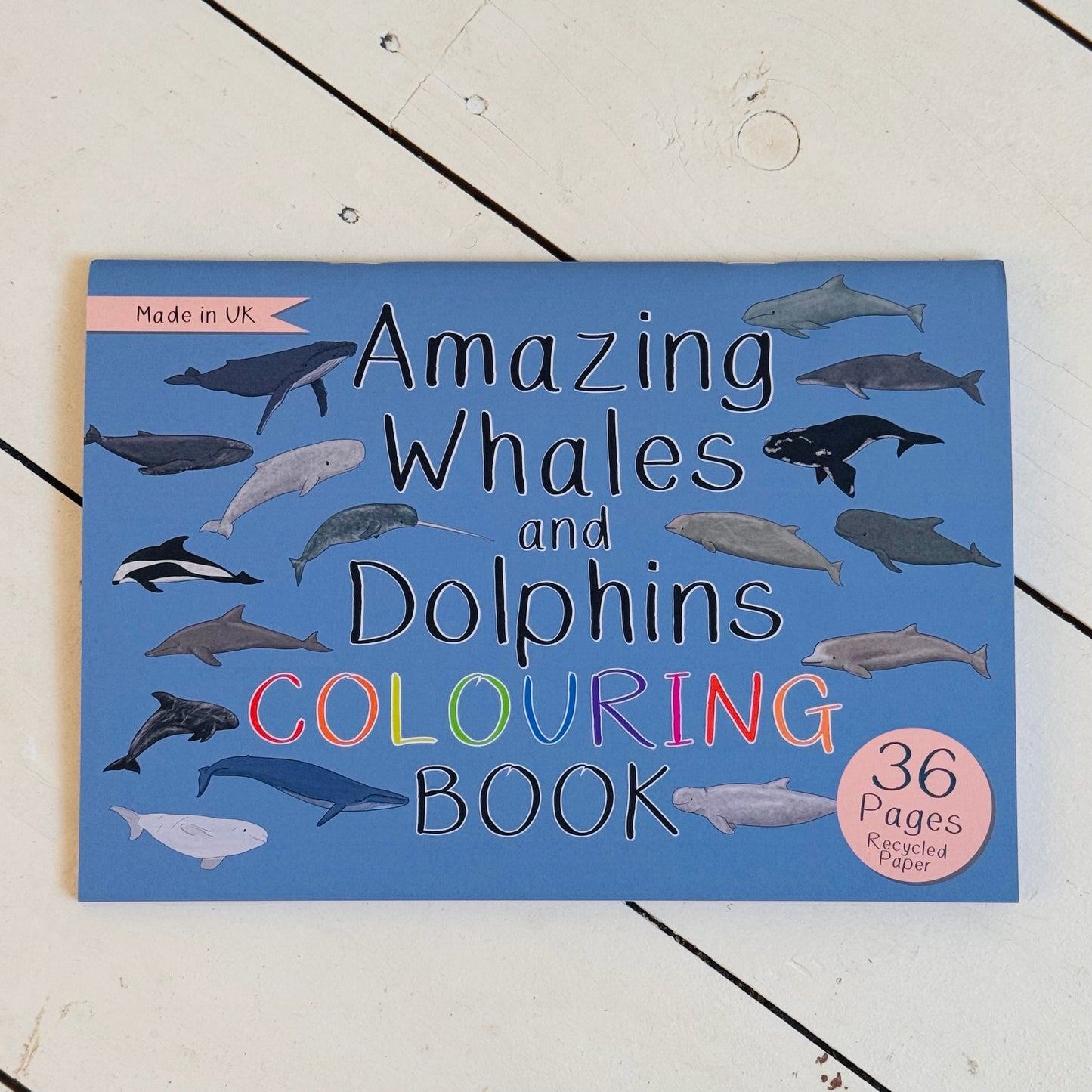 Amazing Whales and Dolphins Colouring Book