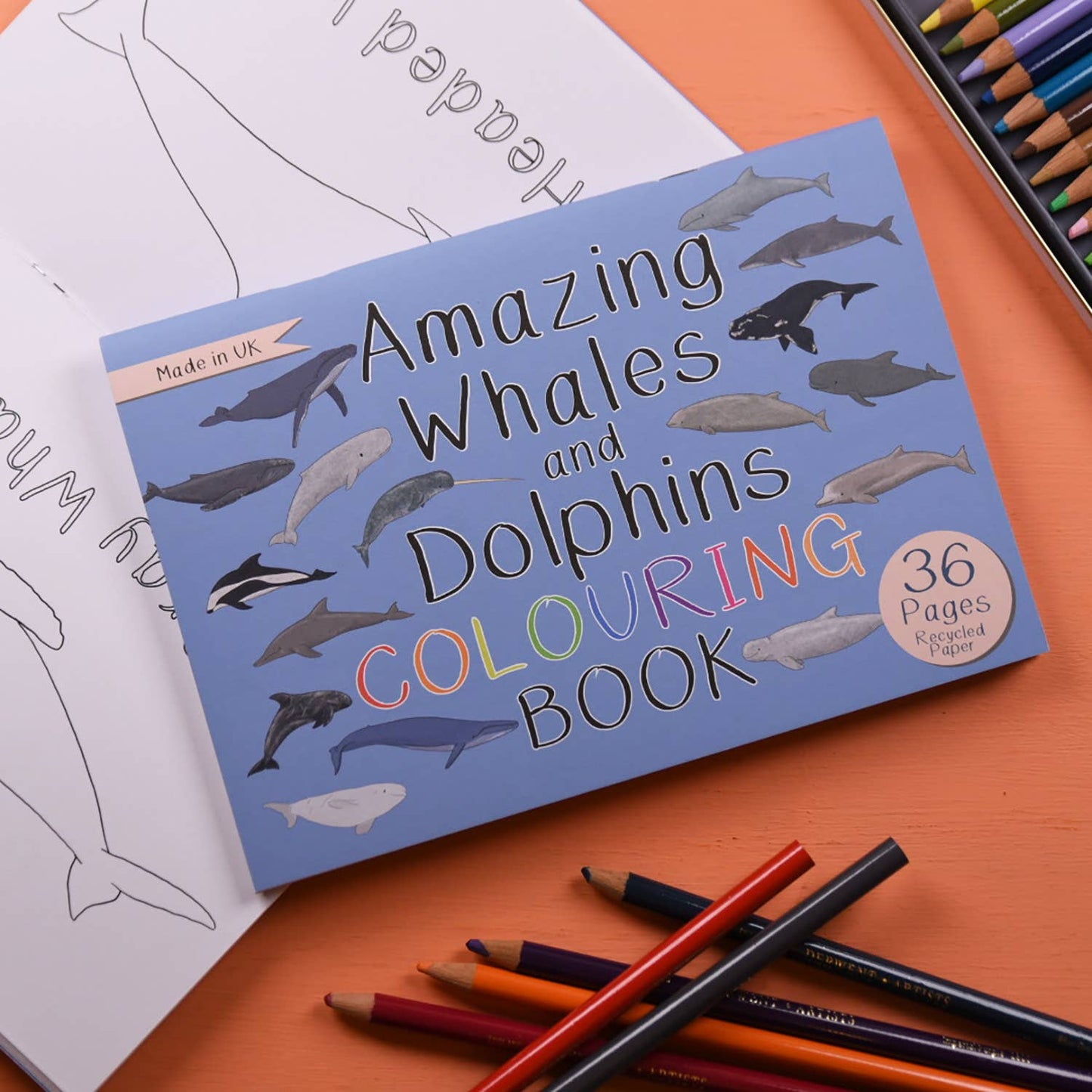 Amazing Whales and Dolphins Colouring Book
