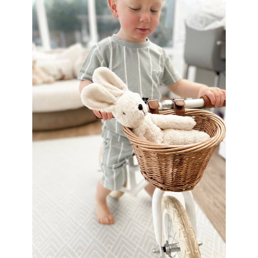 Child with a bicycle basket containing stuffed animals in a home setting