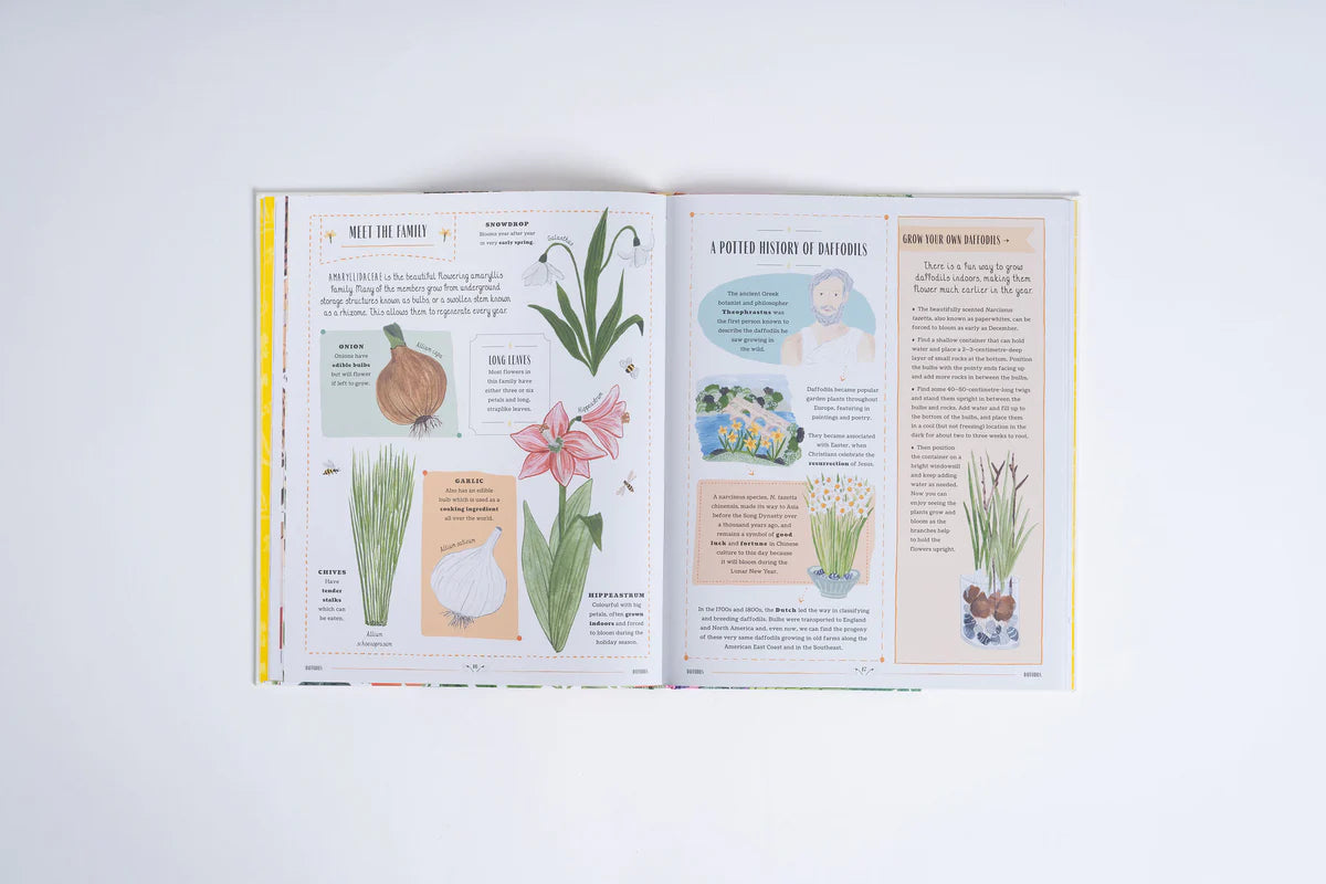 Grow | Rizanino Reyes